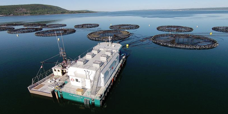 Aquaculture Support